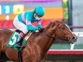 Red Flag comes into the Los Alamitos Futurity as the even-money favorite. He won his last race by nearly eight lengths. (Image: Benoit Photo)