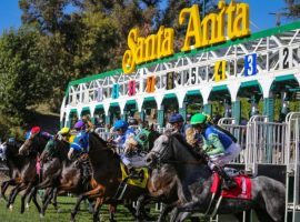 Starting Jan. 1, horses leaving the Santa Anita starting gate in a stakes race will do so without the anti-bleeding medication, Lasix. (Image: Santa Anita)