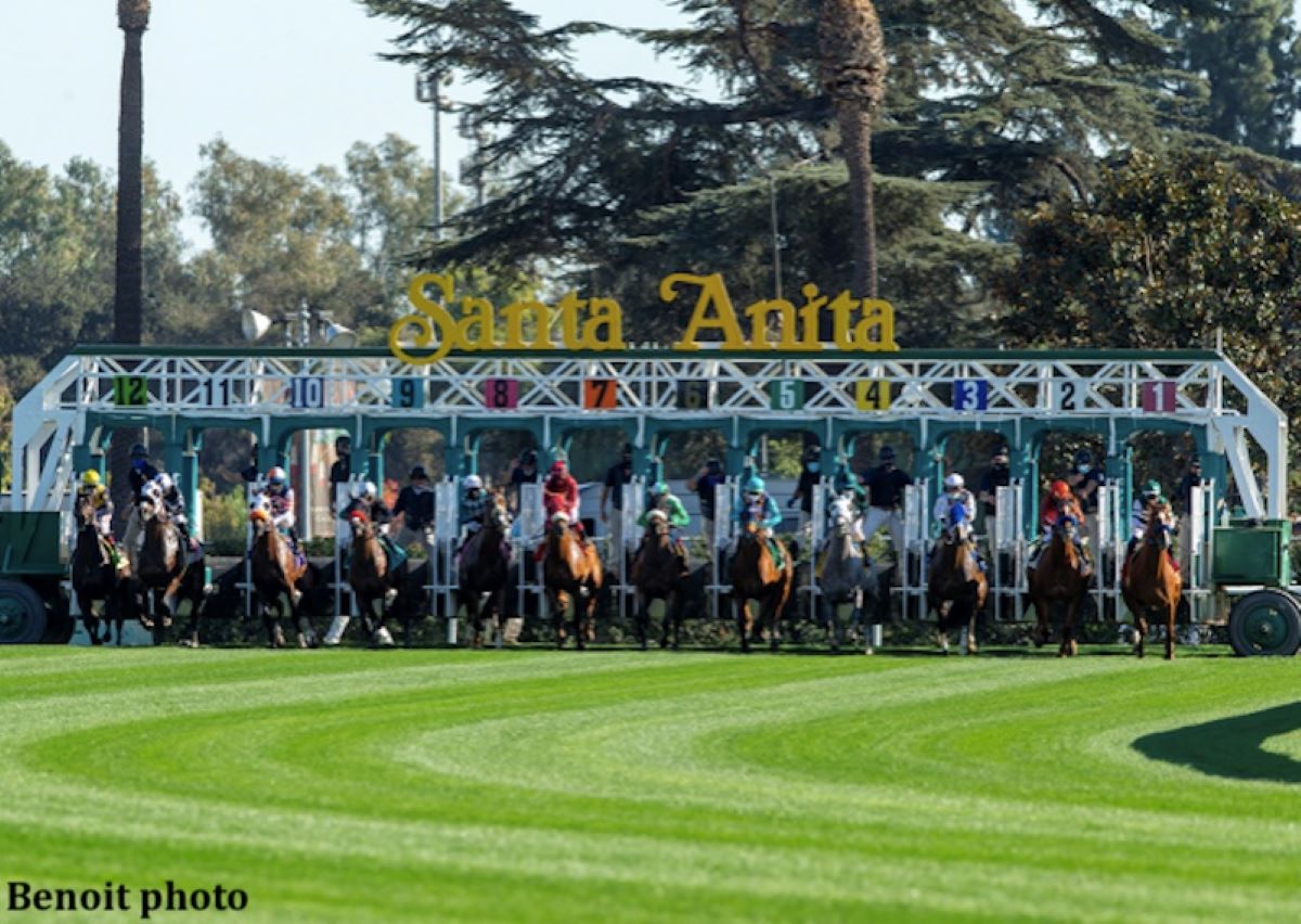 Santa Anita New Turf Chute