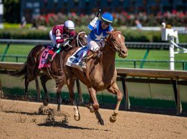 Sittin On Go turned in a go-go performance winning the Iroquois Stakes on the Kentucky Derby undercard. He makes his 3-year-old debut as one of the sophomores to watch in the Mucho Macho Man Stakes at Gulfstream Park. (Image: Jamie Newell/Twin Spires)