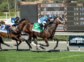 Smooth Like Strait was the only favorite to win the five graded stakes races on Santa Anita Park's opening-day card. He nipped Storm the Court in the Grade 2 Mathis Brothers Mile. (Image: Benoit Photography)