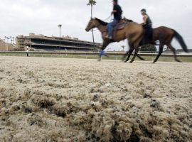 Gulfstream Park is pondering installing a synthetic track, like this Polytrack Del Mar used from 2007-14. The new surface would take stress off Gulfstream Park's turf course. (Image: San Diego Union-Tribune)