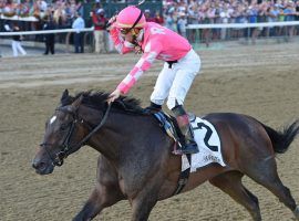 Tax captured the Harlan's Holiday Stakes at Gulfstream Park for his first victory since he and Irad Ortiz Jr. won this Jim Dandy stakes 17 months ago. (Image: Chelsea Durand/NYRA)