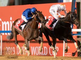 Thunder Snow (right) captured the last two Dubai World Cups. The late March race kept its $12 million purse as undercard race purses were trimmed due to COVID-19. (Image: Erika Rasmussen/Dubai Racing Club)