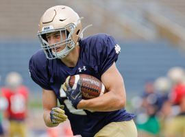 Notre Dame punt returner Matt Salerno was the victim of a vicious hit in College Football Week 14 highlights. (Image: Rick Kimball/ISD)