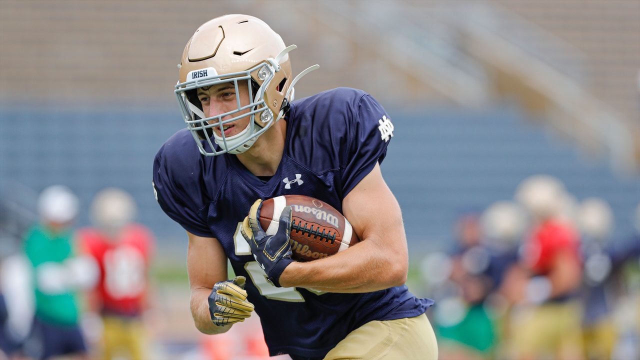 Notre Dame punt returner Matt Salerno College Football Week 14 highlights