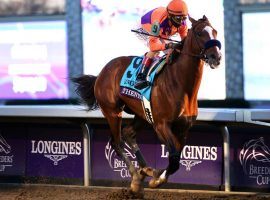 Winning the Breeders' Cup Classic two months after capturing the Kentucky Derby likely made Authentic the Horse of the Year. The 50th Eclipse Awards will be announced Jan. 28. (Image: Horsephotos.com)