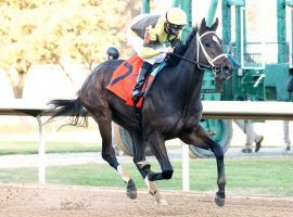 Caddo River used his 10 1/4-length victory in the Smarty Jones to run up the Kentucky Derby futures boards. (Image: Oaklawn Park)