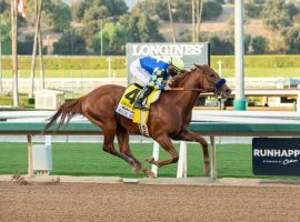 Charlatan's stretch romp in the Malibu Stakes last month produced one of the most impressive wins of the year. He likely will run next in Saudi Arabia in the world's richest race -- the $20 million Saudi Cup. (Image: Benoit Photo)