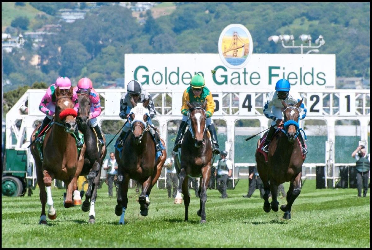 Golden Gate Fields reopens