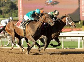 Just a Command (inside) keyed a record trifecta payout at Santa Anita Park Saturday afternoon. He won the maiden claiming race carrying 99/1 odds. (Image: Benoit Photo)