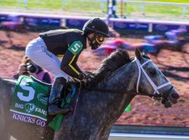 Knicks Go and Joel Rosario won the Breeders' Cup Dirt Mile last November. The 5-year-old Brad Cox charge is the 5/2 favorite for Saturday's Pegasus World Cup Invitational at Gulfstream Park. (Image: Skip Dickstein)