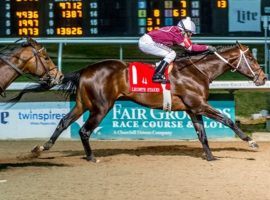 Lecomte Stakes winner Midnight Bourbon opens at 30/1 in the Kentucky Derby Future Wager Pool 2. (Image: Lou Hodges Jr./Hodges Photography)