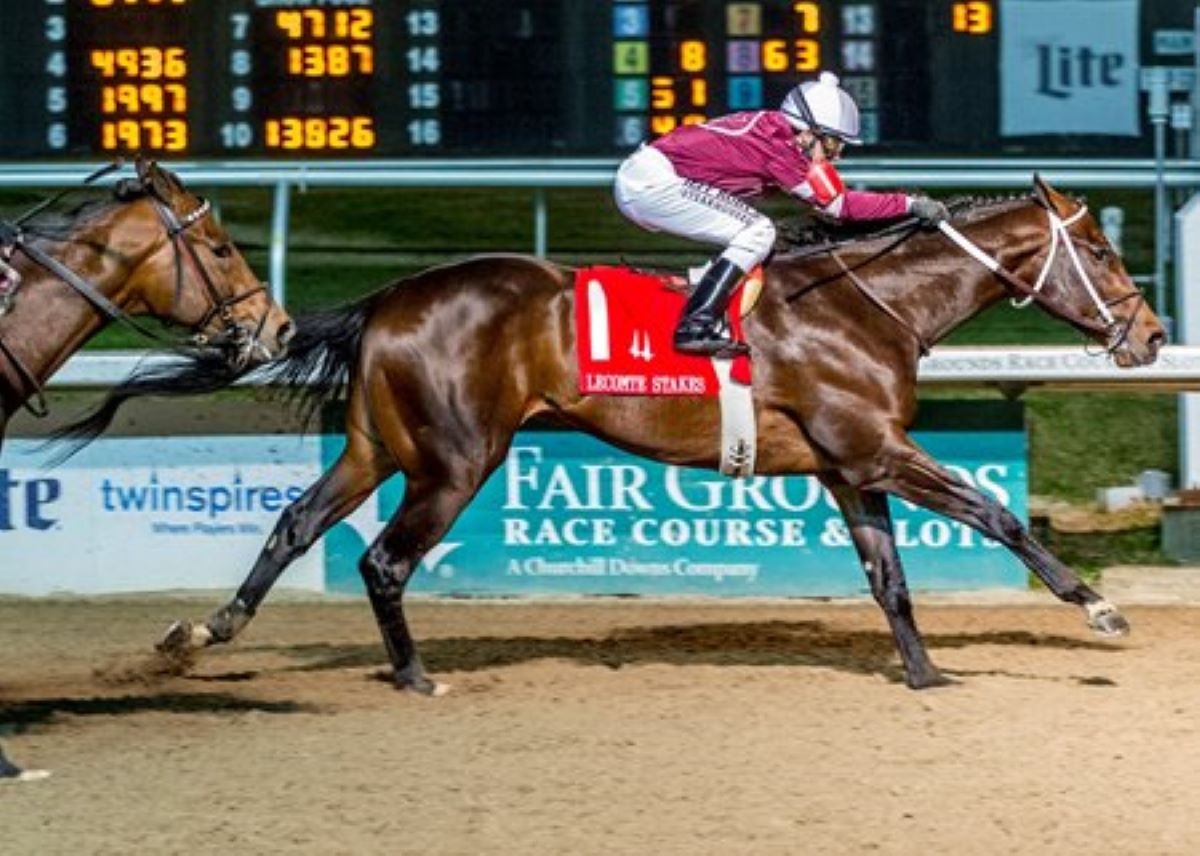 The Field is Your Favorite in Kentucky Derby Future Wager Pool 2