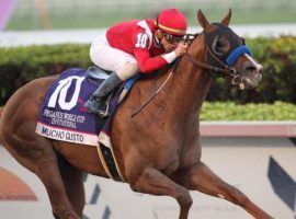 Mucho Gusto seized last year's Pegasus World Cup title. He returns as one of two Bob Baffert entries in the Jan. 23 race at Gulfstream Park. (Image: Getty)