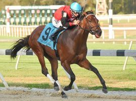 Candy Man Rocket parlayed his Sam F. Davis Stakes victory into a spot on Churchill Downs' Kentucky Derby Future Wager's Pool 3. (Image: SV Photography)