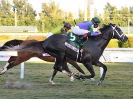 Colonel Liam romped to victory in the Pegasus World Cup Turf, Jan. 23. His victory in one of two Grade 1 races during January helped build strong January handle numbers. (Image: Lauren King)