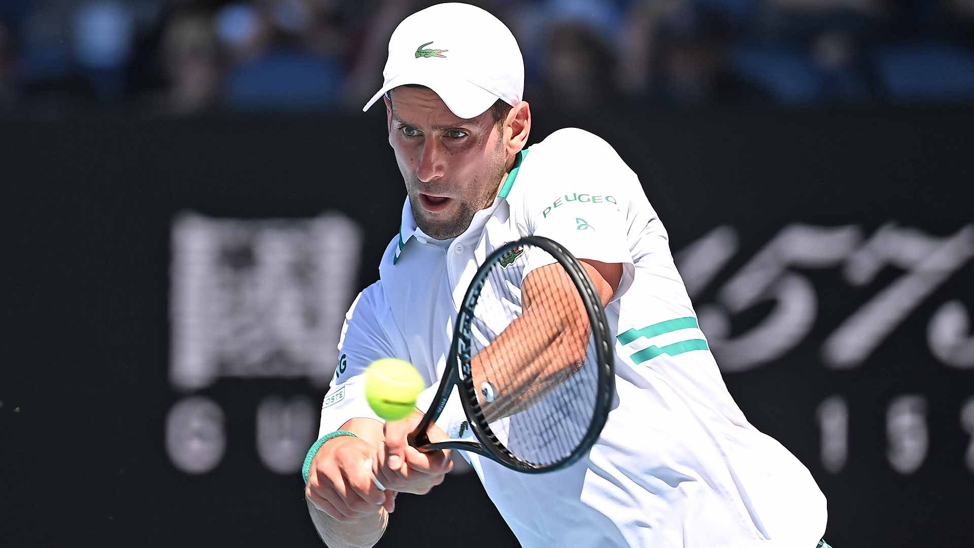 Australian Open odds Djokovic
