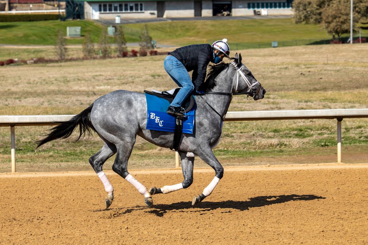 Essential Quality-Southwest preview