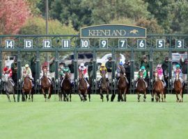 Keeneland offers 10 turf stakes races on its 15-day Spring Meet. It begins April 2 and runs through April 23. (Image: Coady Photography)