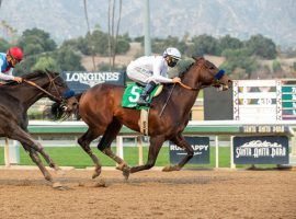 Life Is Good, who won January's Sham Stakes with the fastest Beyer Speed Figure of any 3-year-old, clocked a bullet 59.6-second workout last Saturday. Both trainer Bob Baffert and racing writer and historian Jon White called his talent "freaky." (Image: Benoit Photo)