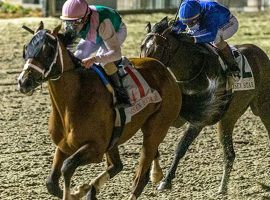 Sporting blinkers and a 98 Beyer Speed Figure, Mandaloun held off Proxy to win Saturday's Risen Star Stakes at Fair Grounds. That depressed his odds in this week's Kentucky Derby futures boards. (Image: Hodges Photography)