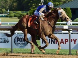 Mystic Guide comes into this weekend's Grade 3 Razorback Handicap with six in-the-money finishes. That includes his victory here in last summer's JIm Dandy Stakes at Saratoga. (Image: Coglianese Photo)