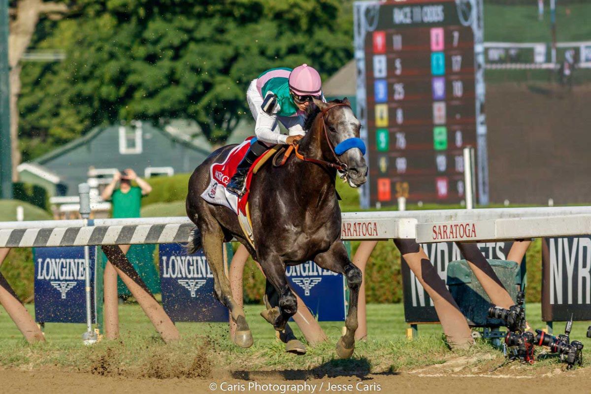 Arrogate Travers-Fox/NYRA