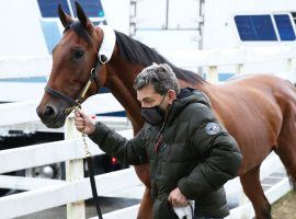 Concert Tour arrived at Oaklawn Park Tuesday for Saturday's Grade 2 Rebel Stakes. He and Bob Baffert stablemate, Hozier, shipped in from Southern California. (Image: Coady Photography/Oaklawn Park)