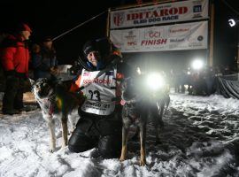 Dallas Seavey is flanked by his two lead dogs, North (left) and Gamble (right), after he secured his fifth victory in the Iditarod Alaska Trail Sled Dog Race. (Image: Marc Lester/ADN)