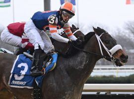 Eric Cancel completed his six-pack of Sunday victories with this neck score aboard My Boy Tate in the Haynesfield Stakes. Going 6-for-8 on Aqueduct's Winter Meet final day, gave Cancel his first riding title. (Image: Chelsea Durand/NYRA)