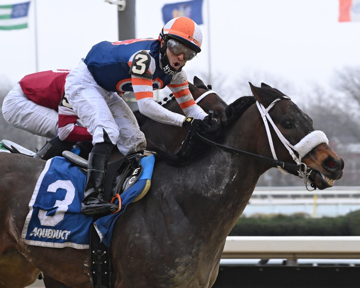 Eric Cancel-Six Wins at Aqueduct