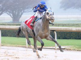 Yes, Essential Quality is No. 1 in the Kentucky Derby Future Pool 4. The Tapit colt opens at 7/2 when the KDFW's Pool 4 begins Friday. (Image: Coady Photography)