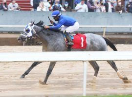 Essential Quality follows up his Southwest Stakes victory here with next week's Blue Grass Stakes at Keeneland. He opens as the 3/1 favorite in the final Kentucky Derby Future Wager pool Friday. (Image: Coady Photography)