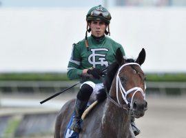 Irad Ortiz Jr. usually throws his punches on the track with his riding skill. He was fined $1,000 for throwing them at fellow rider Paco Lopez after Friday's fourth race at Gulfstream Park. (Image: Ryan Thompson/Coglianese Photos)