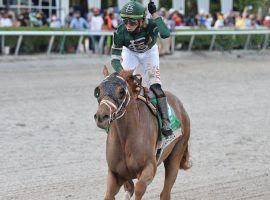 Irad Ortiz Jr. celebrates after breaking the Gulfstream Park Championship Meet riding title aboard Known Agenda i the Florida Derby. (Image: Ryan Thompson Photo)