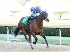 Joyful Image broke her maiden secon time out earlier this month. Saturday, the Runhappy offspring seeks to be Runhappy's first female stakes winner. Texas furniture magnate Jim "Mattress Mack" McIngvale owns Runhappy. (Image: Coady Photgraphy)