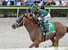By winning the Florida Derby Saturday, Known Agenda affected the Kentucky Derby Future Wager final pool without being listed individually. He's counted as "All Other 3-Year-Olds" for this pool. (Image: Derbe Glass/Coglianese Photos)