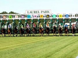 Laurel Park scratched its entire Friday card after an outbreak of equine herpesvirus (EHV) affected four of its barns. (Image: Maryland Racing)