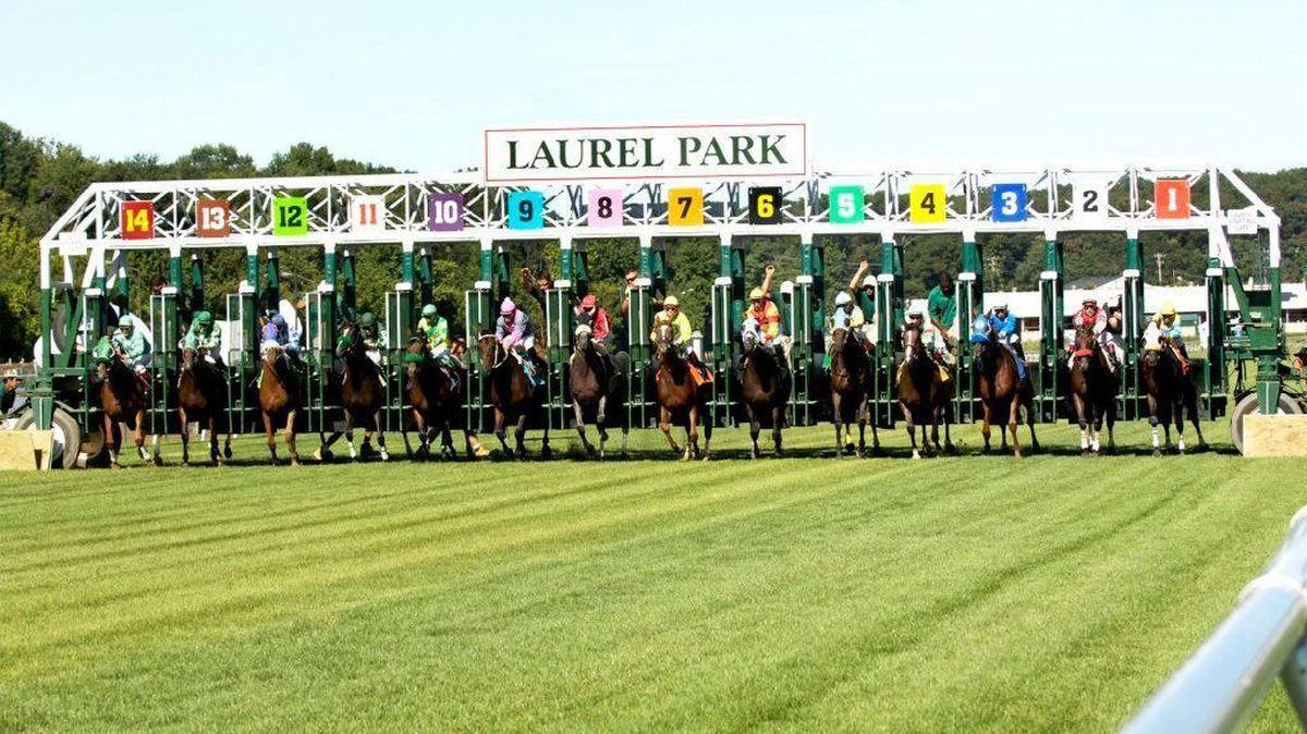 Laurel Park EHV