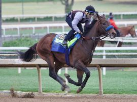 Life  Is Good turned in another bullet breeze Saturday morning. But the Kentucky Derby favorite suffered an apparent leg injury that takes him off the Derby trail. (Image: Zoe Metz Photography)