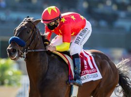 The betting bandwagon piled on Life Is Good after he and Mike Smith rolled to an eight-length victory in Saturday's San Felipe Stakes. He is as low as 2/1 on one Kentucky Derby futures board. (Image: Benoit Photo)