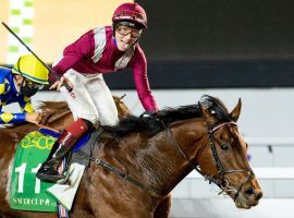 This tongue-wagging victory at 17/1 in the Saudi Cup vaulted Mishriff to the No. 1 spot in the first 2021 Longines World's Best Racehorse Rankings. (Image: Douglas DeFelice/Jockey Club of Saudi Arabia)