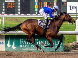 Proxy finished second in both Fair Grounds Derby preps: the Lecomte and the Risen Star. Can the 7/2 third-favorite break through in the Louisiana Derby? (Image: Hodges Photography)
