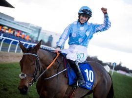 Rachael Blackmore rode into the history books Tuesday, becoming the first female rider to win the Cheltenham Festival's Champion Hurdle. She and Honeysuckle prevailed by 6 1/4 lengths. (Image: Horse Racing Ireland)