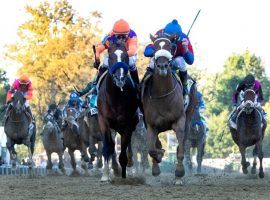 Swiss Skydiver (right) solidified her Champion 3-Year-Old status with this thrilling Preakness victory over Authentic. What will this year's Preakness contenders to for an encore when the race returns to its customary May date? (Image: Skip Dickstein)