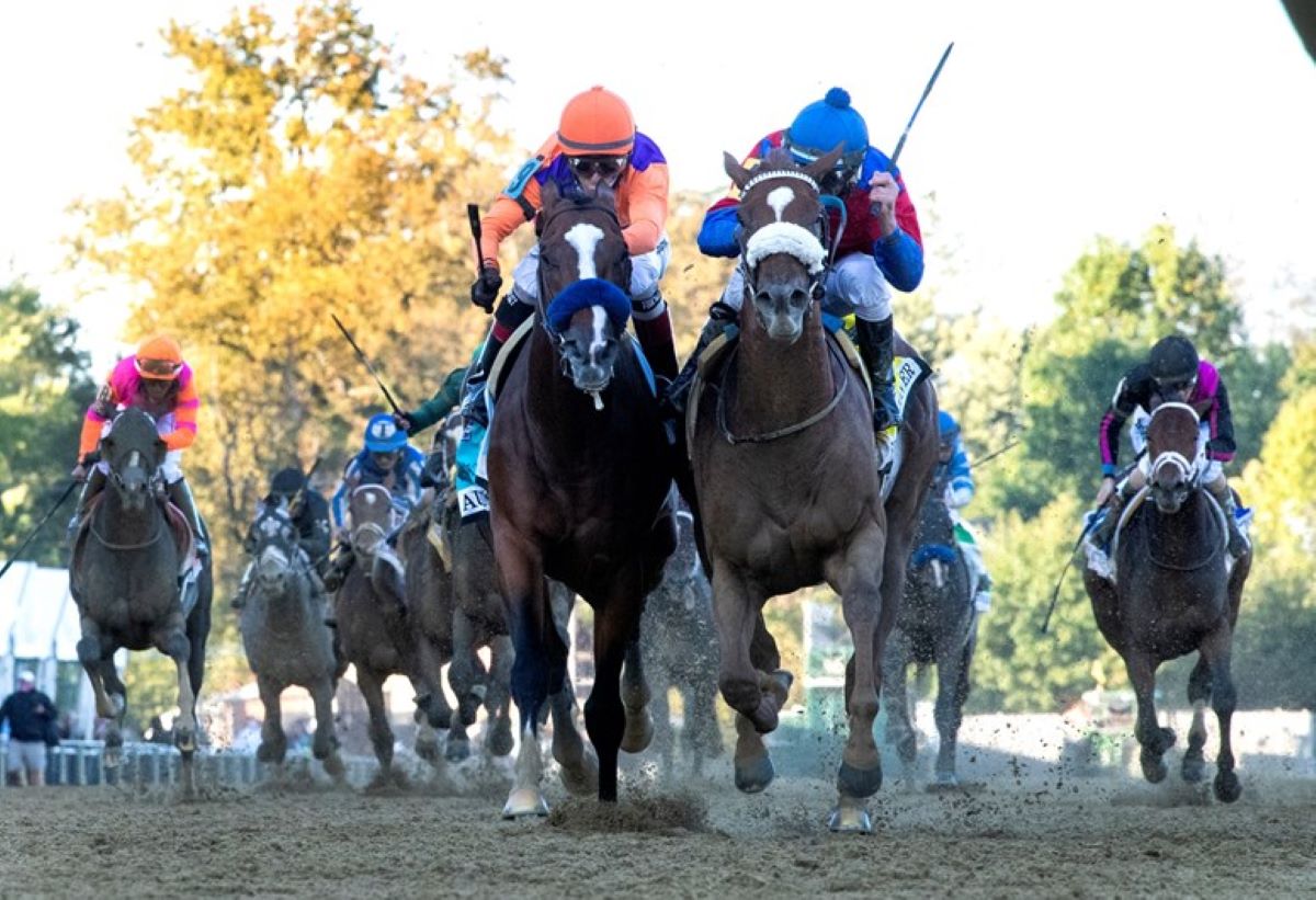 2020 Preakness finish-2021 Preakness meet