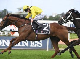 Addeybb and jockey Tom Marquand renew their rivalry with Verry Elleegant in the feature race of The Championships, Day 2: the Queen Elizabeth Stakes. (Image: Racing and Sports)