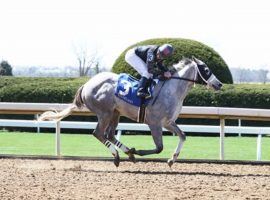 Bohemian Frost became the answer to a trivia question when she won the first 2-year-old race of 2021 Friday at Keeneland. (Image: Keeneland/Coady Photography)