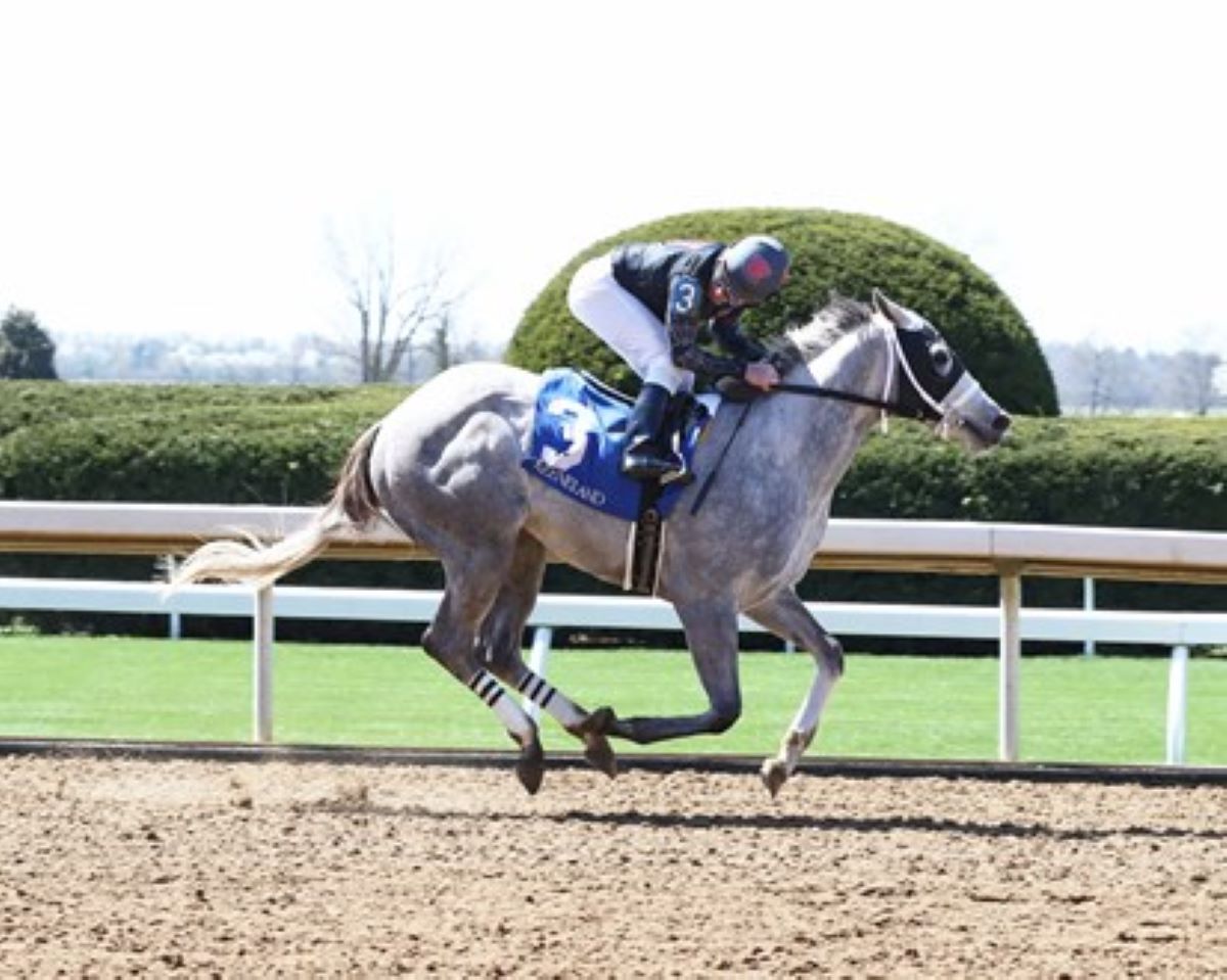 Bohemian Frost-First 2-year-old winner